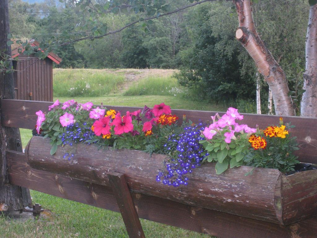 Smegarden Camping Oppdal Cameră foto